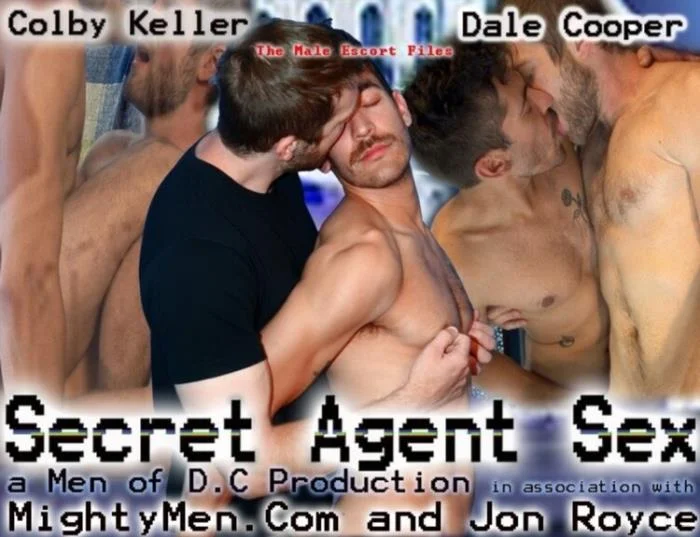 The Male Escort Files  [SD]