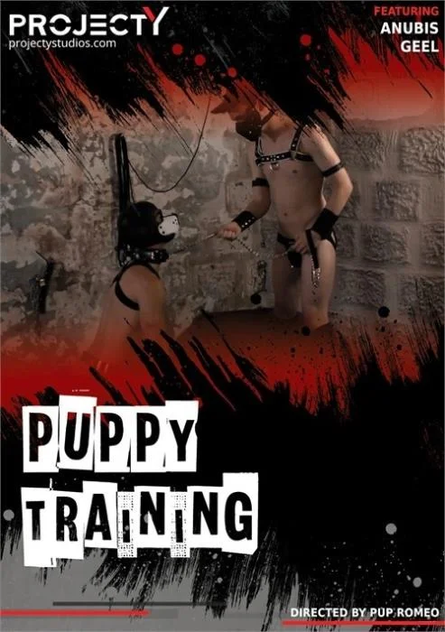 Puppy Training projectYstudios.com [FullHD]