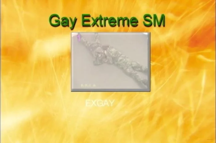 Gay Extreme SM B.F.I., 6666 Productions [DVDRip]