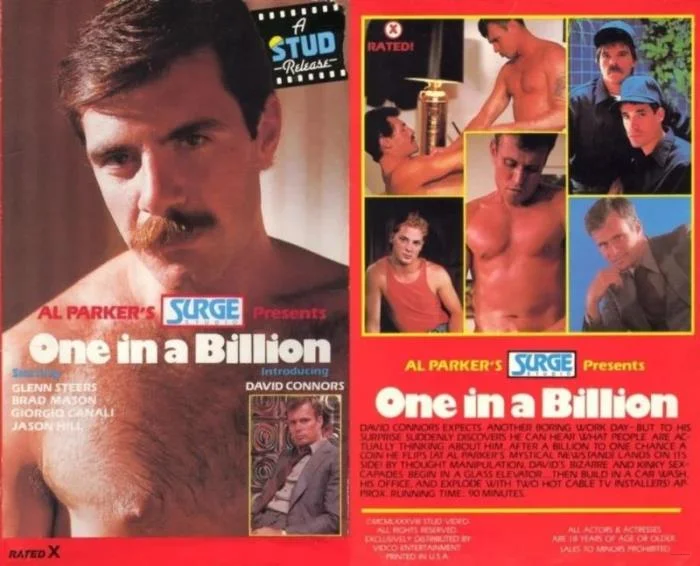 One in a Billion Bijou Video, Surge Studio, Vidco Video, Le Salon Video [DVDRip]