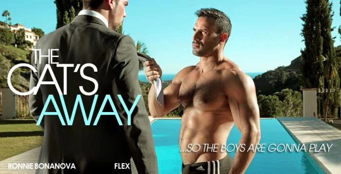 The Cat's Away [HD 720p]